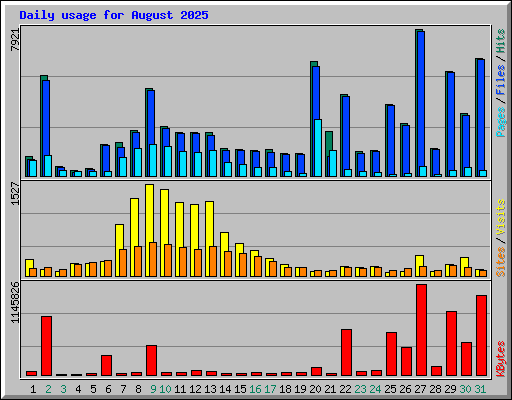 Daily usage for August 2025