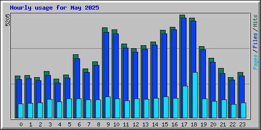 Hourly usage for May 2025