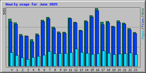 Hourly usage for June 2025