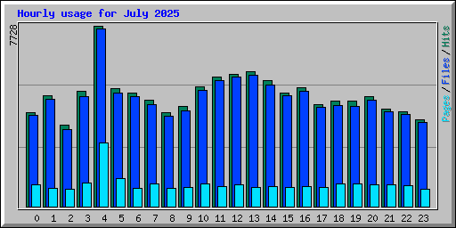 Hourly usage for July 2025