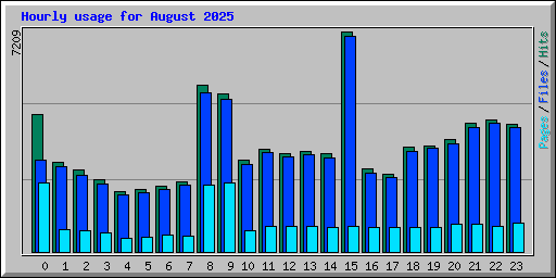 Hourly usage for August 2025