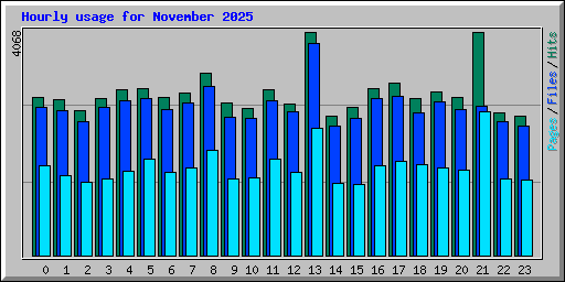 Hourly usage for November 2025