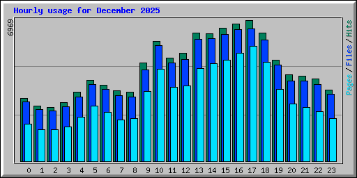 Hourly usage for December 2025