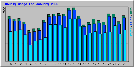 Hourly usage for January 2026