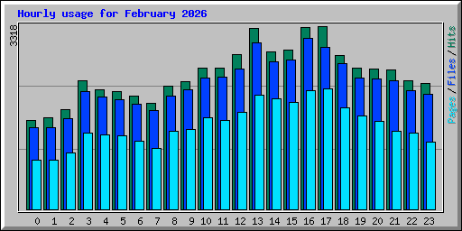 Hourly usage for February 2026